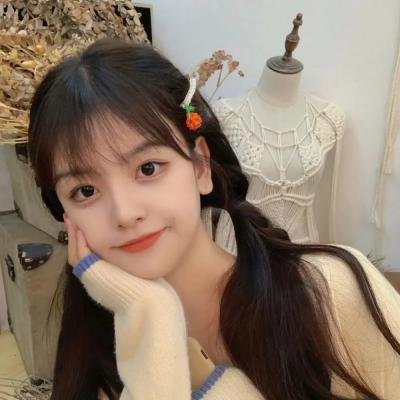 闪婚秘书带崽出逃